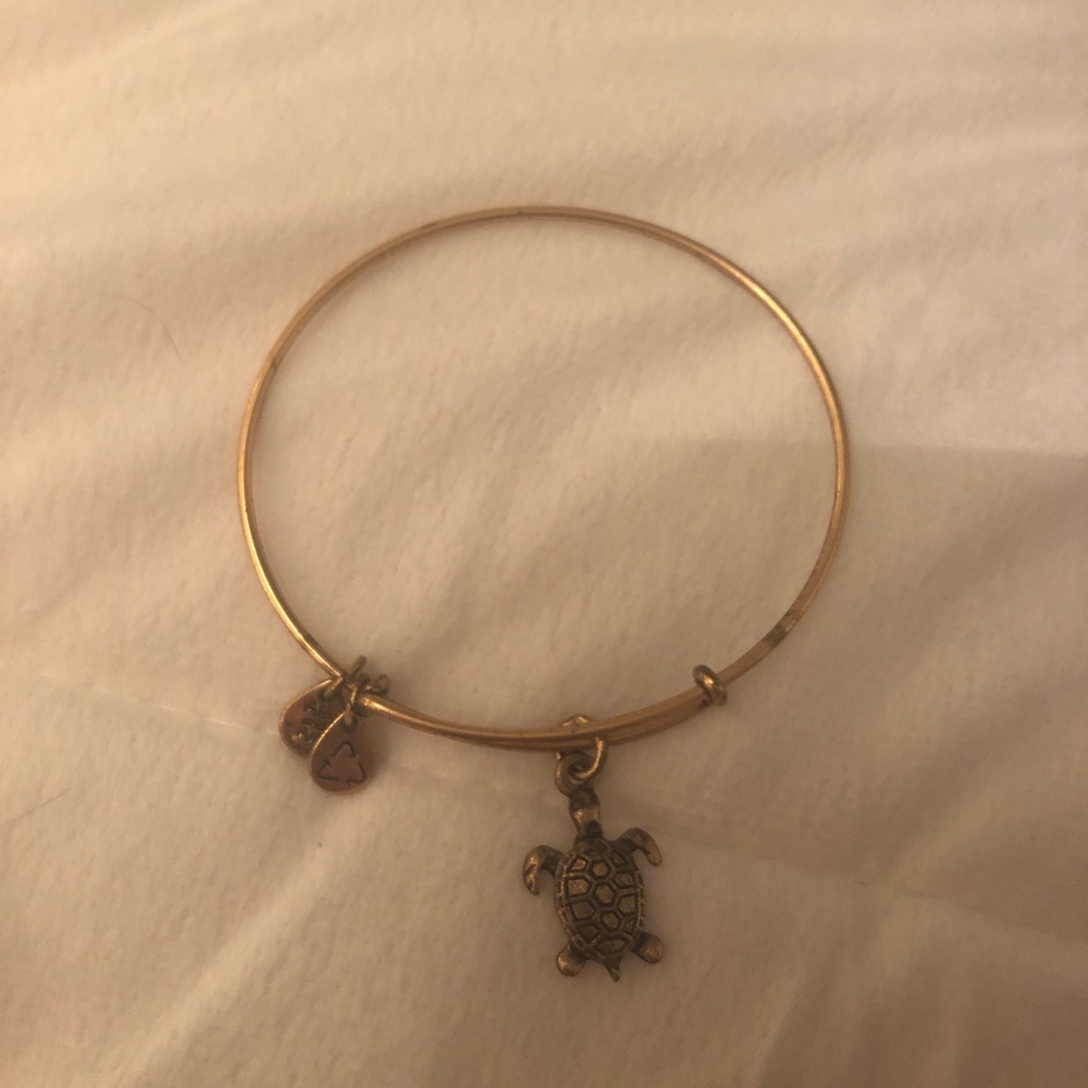 Alex and Ani sea turtle bracelet
